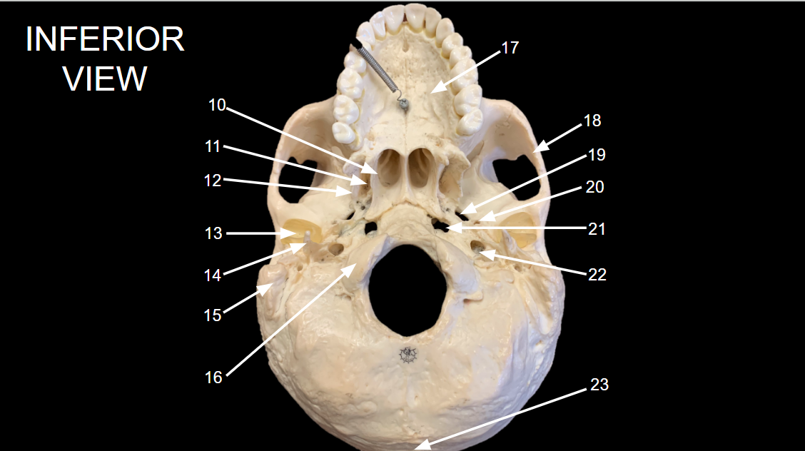 <p>WHAT IS 20 CALLED?</p>
