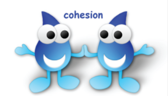 <p><span style="background-color: transparent;">the attraction between molecules of the <strong>same</strong> substance (like water sticking to water).&nbsp;</span></p>