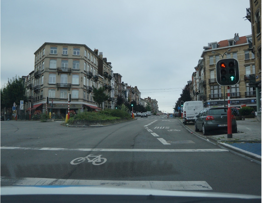 <p>Wat betekent dit verkeerslicht?</p>