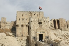 <p>(n.) a fortress that overlooks and protects a city; any strong or commanding place</p>