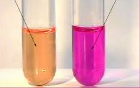 <p>Which result is positive and which one is a negative urea hydrolysis test?</p>