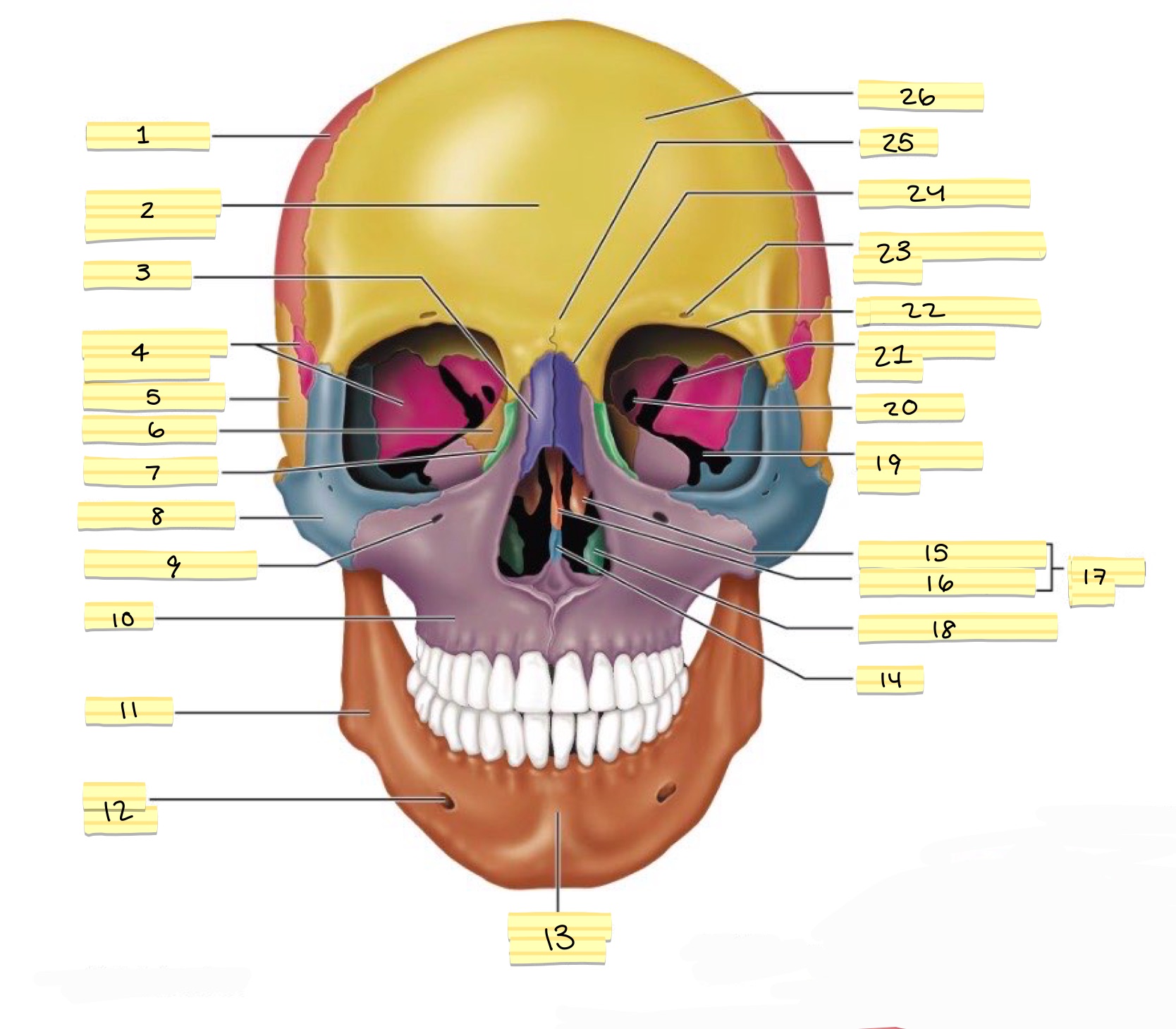 <p>1</p>