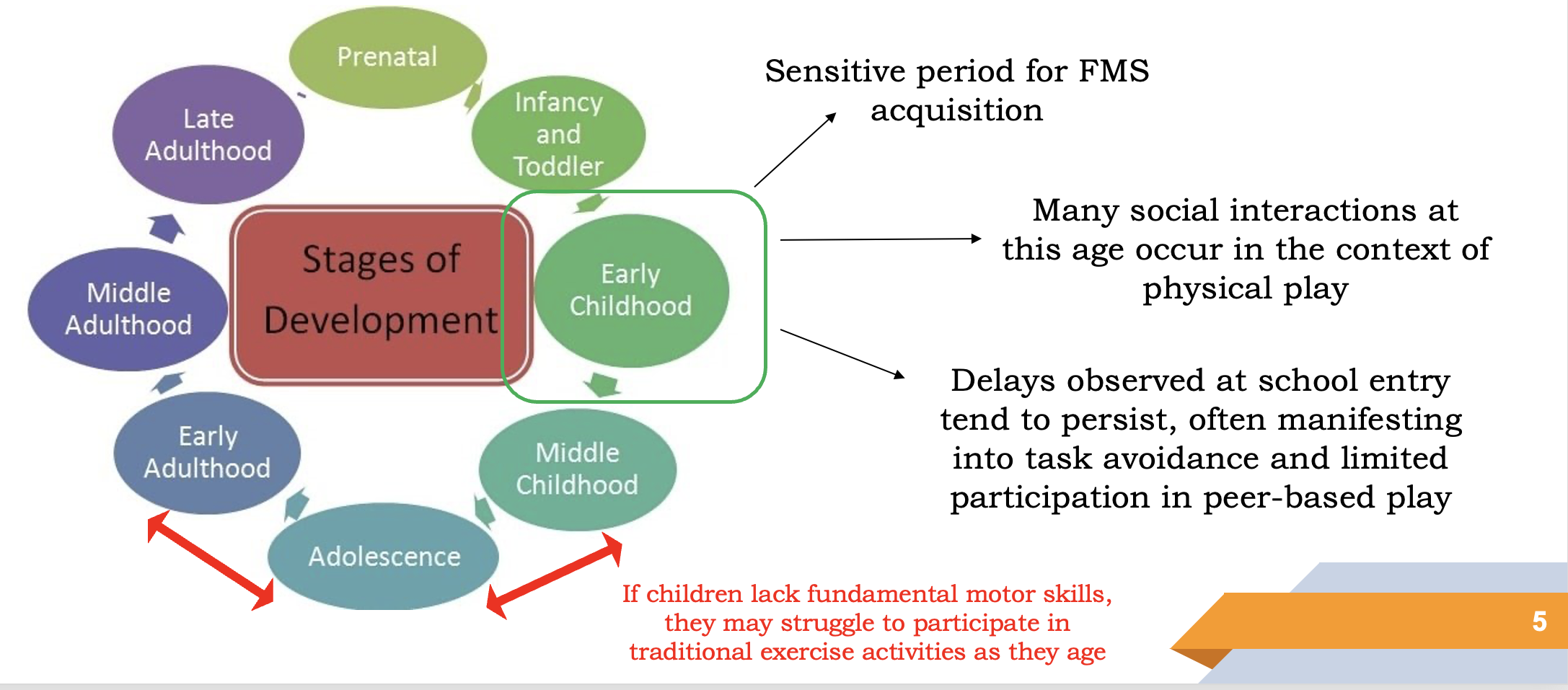 <p>stages of development early childhood </p>