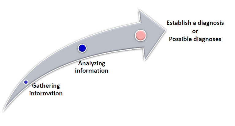 <ol><li><p>gathering information</p></li><li><p>analyzing information</p></li><li><p>establish a diagnosis or possible diagnosis </p></li></ol><p></p>