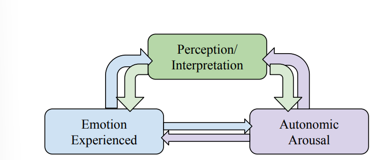<ul><li><p>Many of the same brain areas are activated by multiple emotions, so it appears that there is no obvious pattern that leads to one particular emotional state</p></li><li><p>Modern view emphasizes the impact of any one process on the others</p></li><li><p>we also know that there are two pathways that compute emotion</p><ul><li><p>fast pathway</p></li><li><p>slow pathway</p></li></ul></li></ul><p></p>