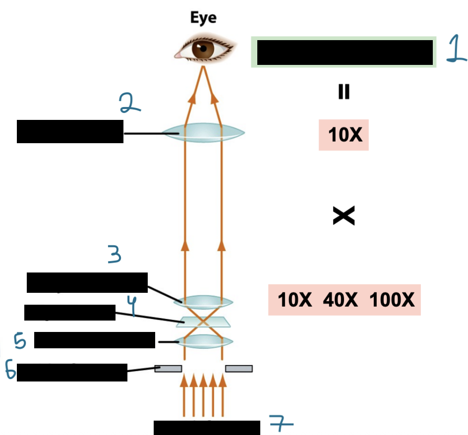 <p>Label the following </p>