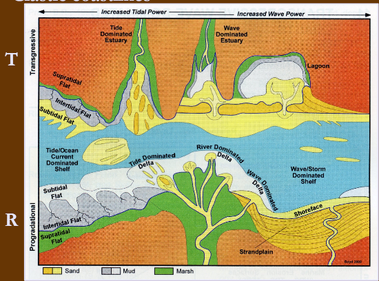 <p>Actual margin between land and sea. Coastline is behind this</p>