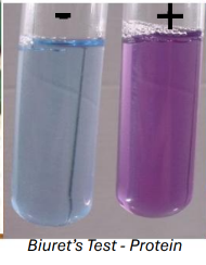 <p>test with biurets, no heat required</p><p>colour change - blue to lilac</p>