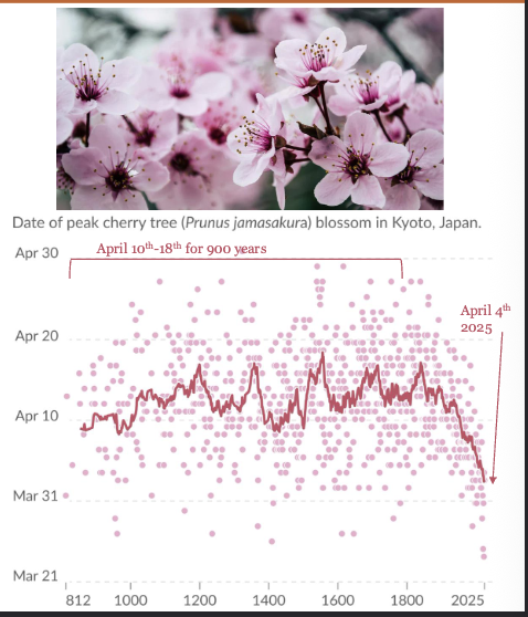 <p>The TIMING of seasonal life-cycle events (when flowers bloom, birds migrate, insects hatch) and how they respond to environmental conditions) </p>