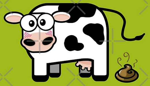 <p>In utero infections; bovine viral diarrhea virus (BVDV)</p>