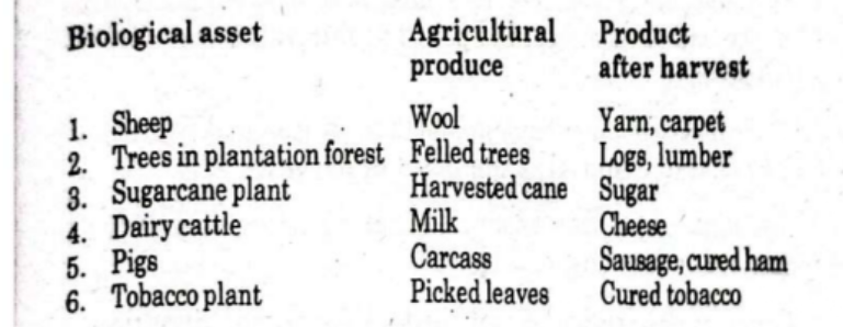 <p>Biological asset</p><p></p><p>1. Sheep . </p><p>9. Treesinplantation  forest</p><p>3. Sugarcaneplant   </p><p>4. Dairycattle </p><p>5. Pigs  </p><p>6. Tobaccoplant </p><p> Agricultural Product</p><ol><li><p>Wool </p></li><li><p>Felled trees </p></li><li><p>Harvested cane</p></li><li><p> Milk</p></li><li><p> Carcass</p></li><li><p> Picked leaves </p></li></ol><p>Product after harvest</p><ol><li><p>Yarn, carpet'</p></li><li><p>Logs, lumber</p></li><li><p>Sugar'</p></li><li><p>Cheese</p></li><li><p>Sausage, cured ham</p></li><li><p>Cured tobacco</p></li></ol><p></p>