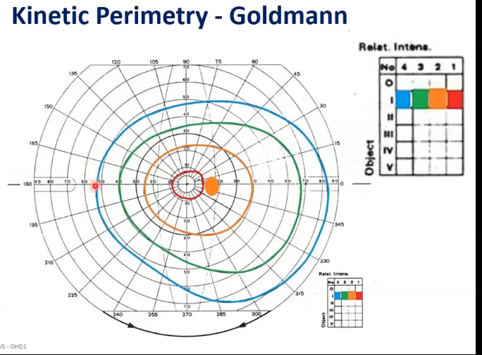 <p> what is isopters</p>