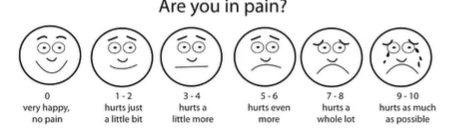<ul><li><p><span>Designed to help participants conceptualize their attitude</span></p></li><li><p><span>They can see where their attitude falls along the scale based on the pictures provided</span></p></li></ul><p></p>