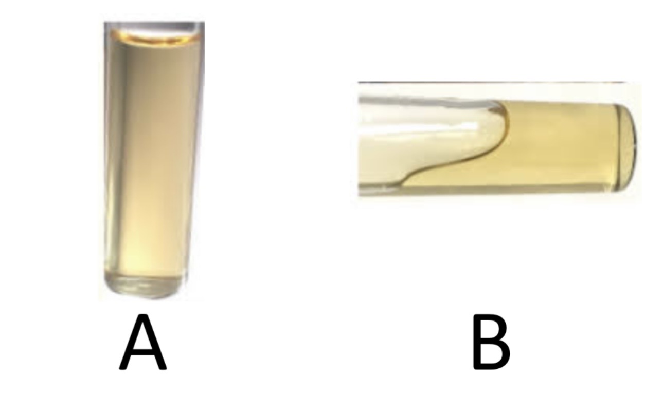 <p>Gelatin Hydrolysis </p><p>a) Medium?</p><p>b) Substrate?</p><p>c) Enzyme?</p><p>d) Indicator/Reagent?</p><p>e) End Product?</p>