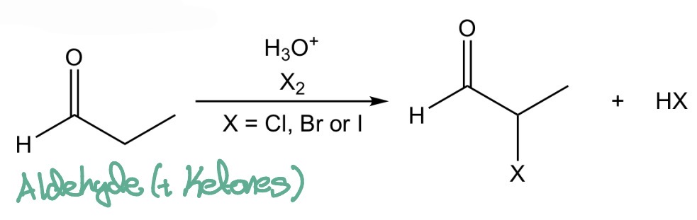 <p>Acid-Catalysed <span>α-halogenation</span></p>