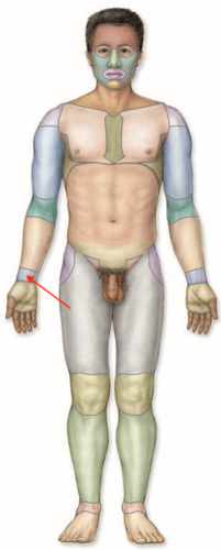 <p>what is this section called?</p>