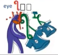 <p>EYE</p>
