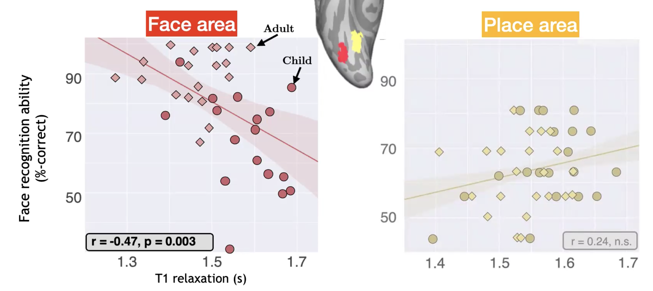 More tissue -> better recognition; no change -> stable behavior