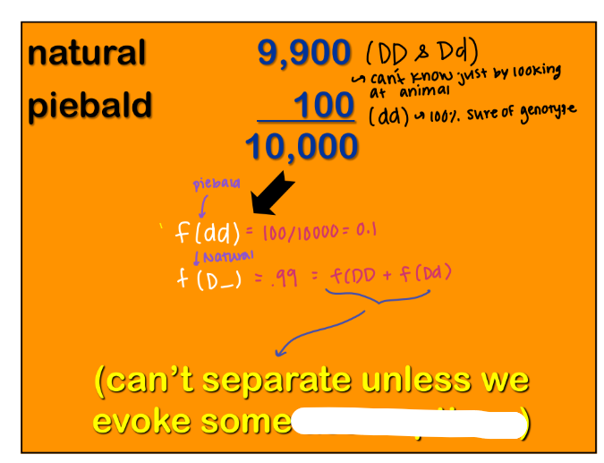 <p><strong><em>Dominance </em></strong></p><ul><li><p>Cannot <span style="color: purple;"><strong>separate the two dominant genotypes</strong></span> unless we evoke some ____</p></li></ul><p></p>