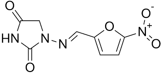 <p>nitrofurantoïne</p>