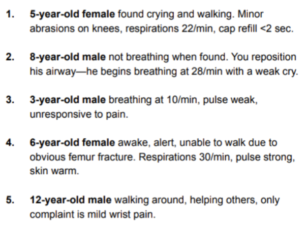 <p>triage scenarios pt.1</p>