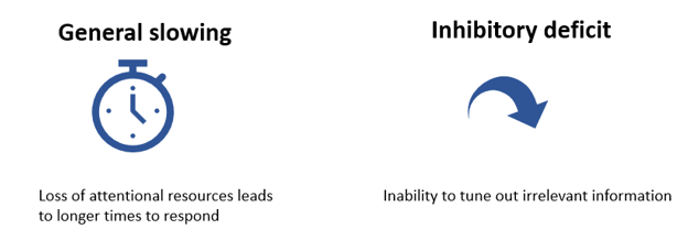 <p>Ouder worden: reductie in cognitieve bronnen die instaan voor controle &amp; inhibitie van aandacht</p><ul><li><p><strong>activatie</strong>: zoekproces starten — niet leeftijdsgevoelig</p></li><li><p><strong>inhibitie</strong>: negatief beïnvloed</p></li></ul><p></p>
