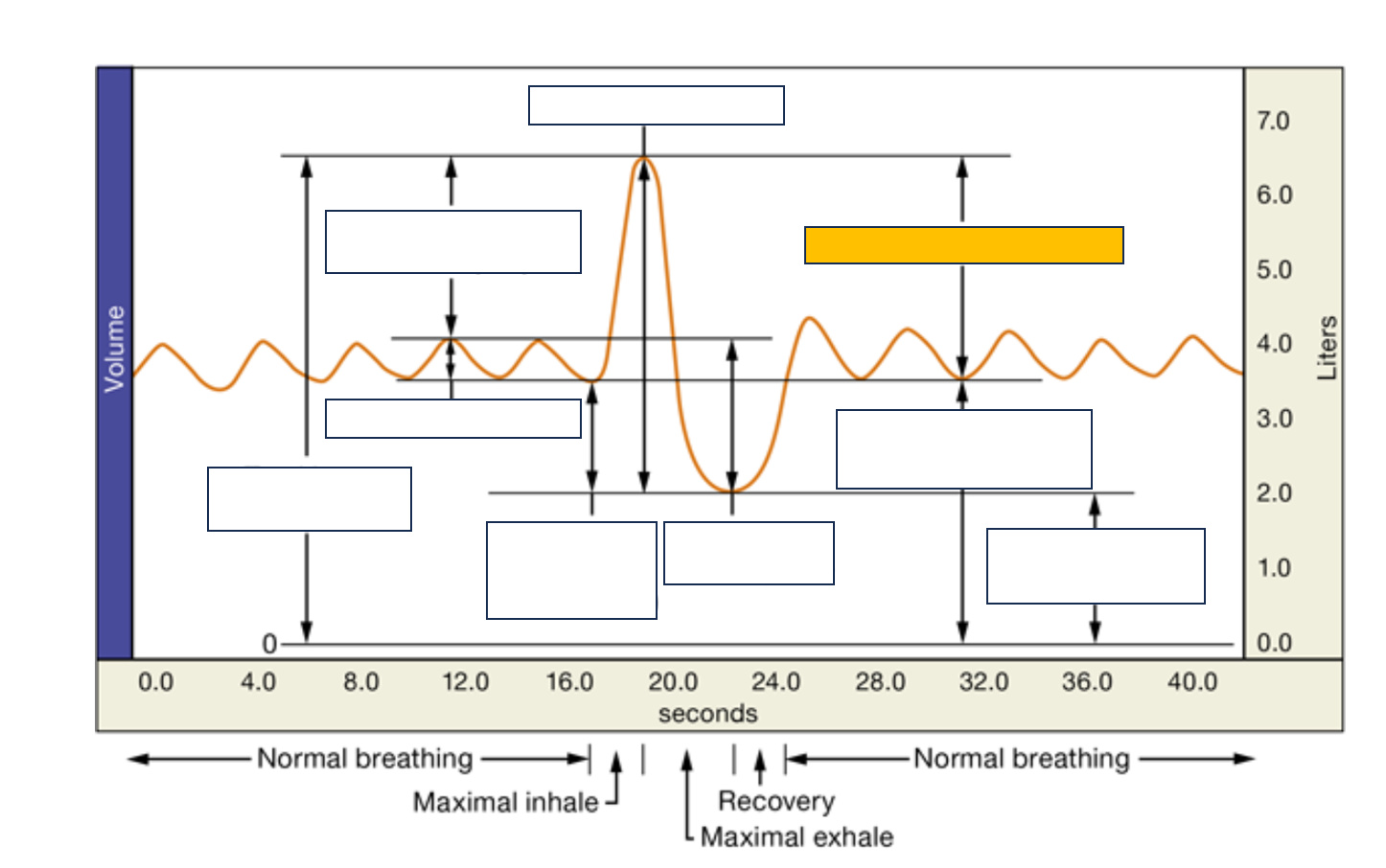 <p>name and def.</p>