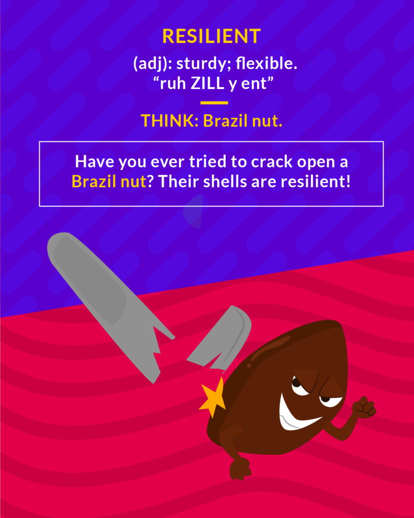 <p>(adj.) able to return to an original shape or form; able to recover quickly</p><p>(adj.) able to recover quickly</p>