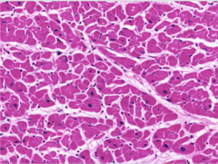 <p>Identify</p>
