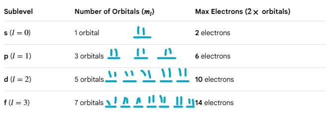 <p>Every orbital can hold a MAXIMUM of 2 electrons (see image)</p>
