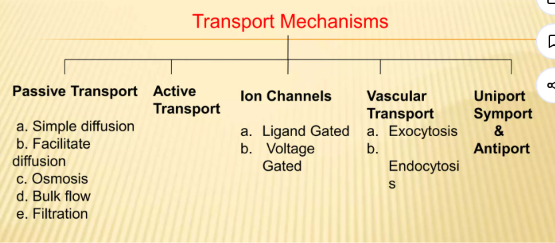 <p><sub><sup>(5)</sup></sub> Transport Mechanisms classified into:</p><ol><li><p><strong>Passive Transport</strong></p></li></ol><ul><li><p>simple diffusion</p></li><li><p>facilitated diffusion</p></li><li><p>osmosis</p></li><li><p>bulk flow</p></li><li><p>filtration</p></li></ul><ol start="2"><li><p><strong>Active Transport</strong></p></li><li><p><strong>Ion Channels</strong></p></li></ol><ul><li><p>Ligand Gated Channels</p></li><li><p>Voltage Gated Channels</p></li></ul><ol start="4"><li><p><strong>Vascular Transport</strong></p></li></ol><ul><li><p>Exocytosis</p></li><li><p>Endocytosis</p></li></ul><ol start="5"><li><p><strong>Uniport, Symport and Antiport</strong></p></li></ol><p></p>