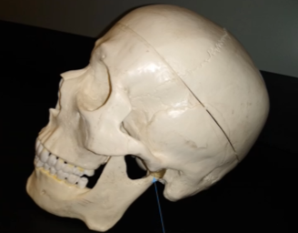 <p>What is this?</p>