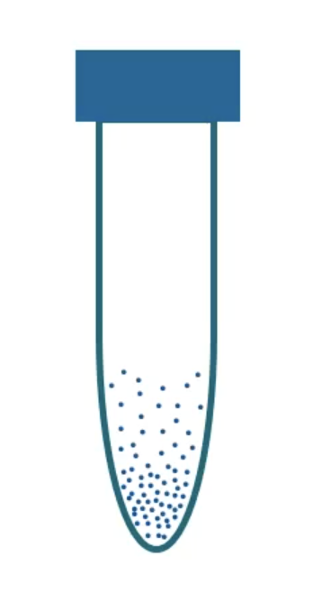 <p>obligate anaerobe</p>