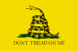 <p>Libertarianism Basics</p>
