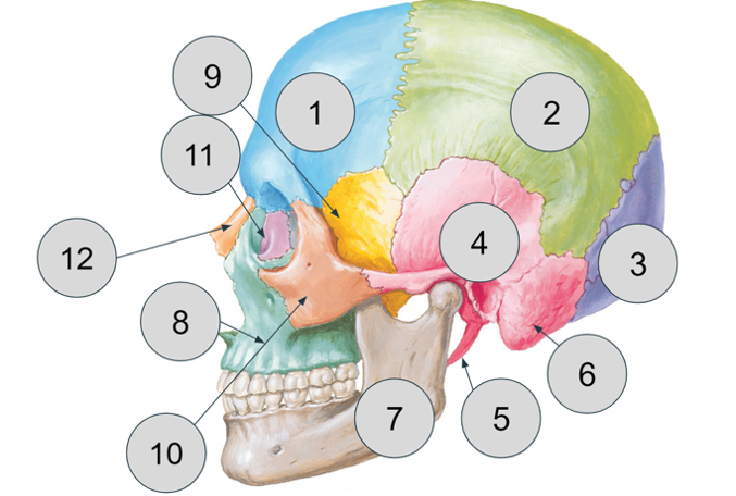 <p>Name number 6</p>