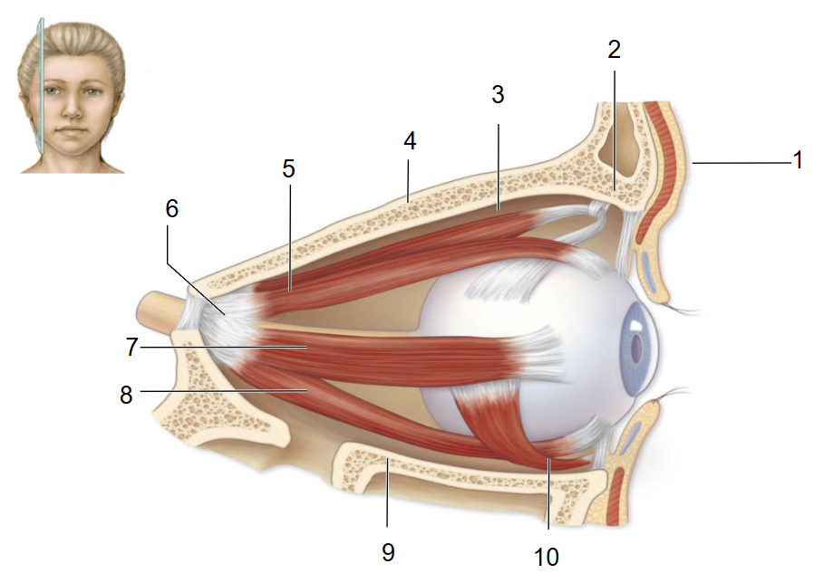 <p>3</p>