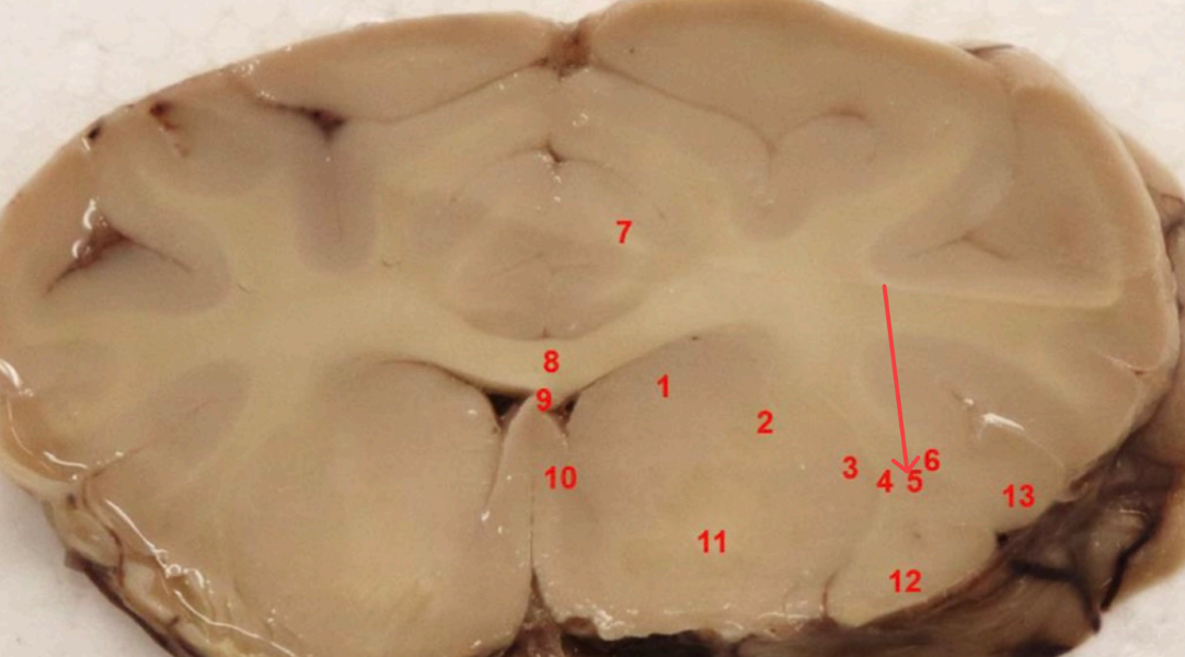 <p>what is this </p>