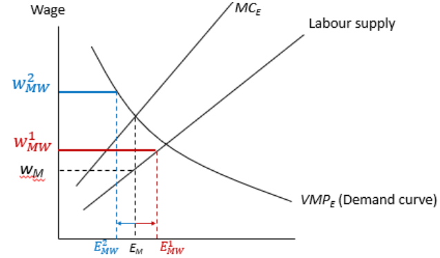 <p>> Monopsonist firms hire at point B (MCe = VMPe) and pay wages at Wm</p><p>> A minimum wage (Wmw<sup>1</sup>) is implemented above the wage paid by the firm, which increases employment to Emw<sup>1</sup></p><p>> However, if the minimum wage were implemented at a too high rate (Wmw<sup>2</sup>) then employment would decrease to Emw<sup>2</sup></p>