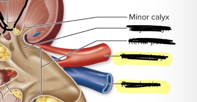 <p>Smallest funnel leading to bigger funnel which leads to biggest funnel</p>