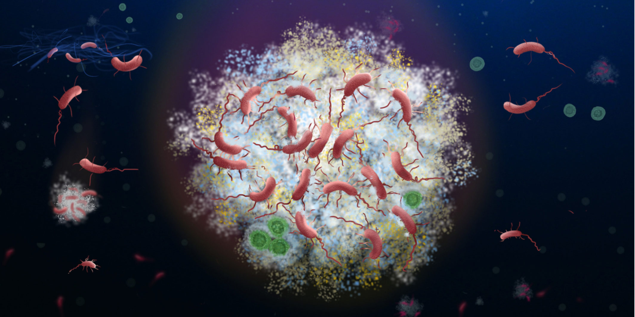 microbial communities