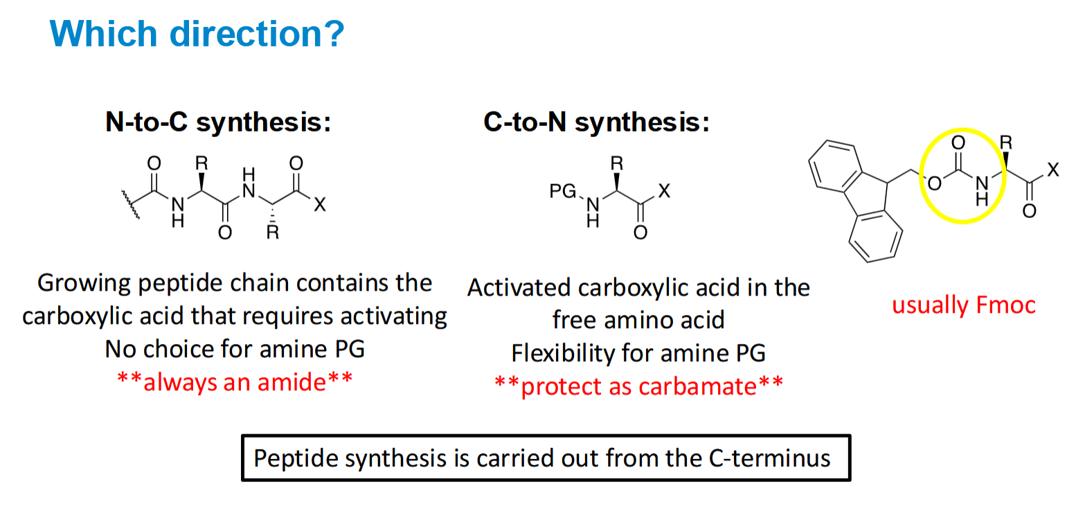 <p>C-to-N allows you to protect the amine group</p>