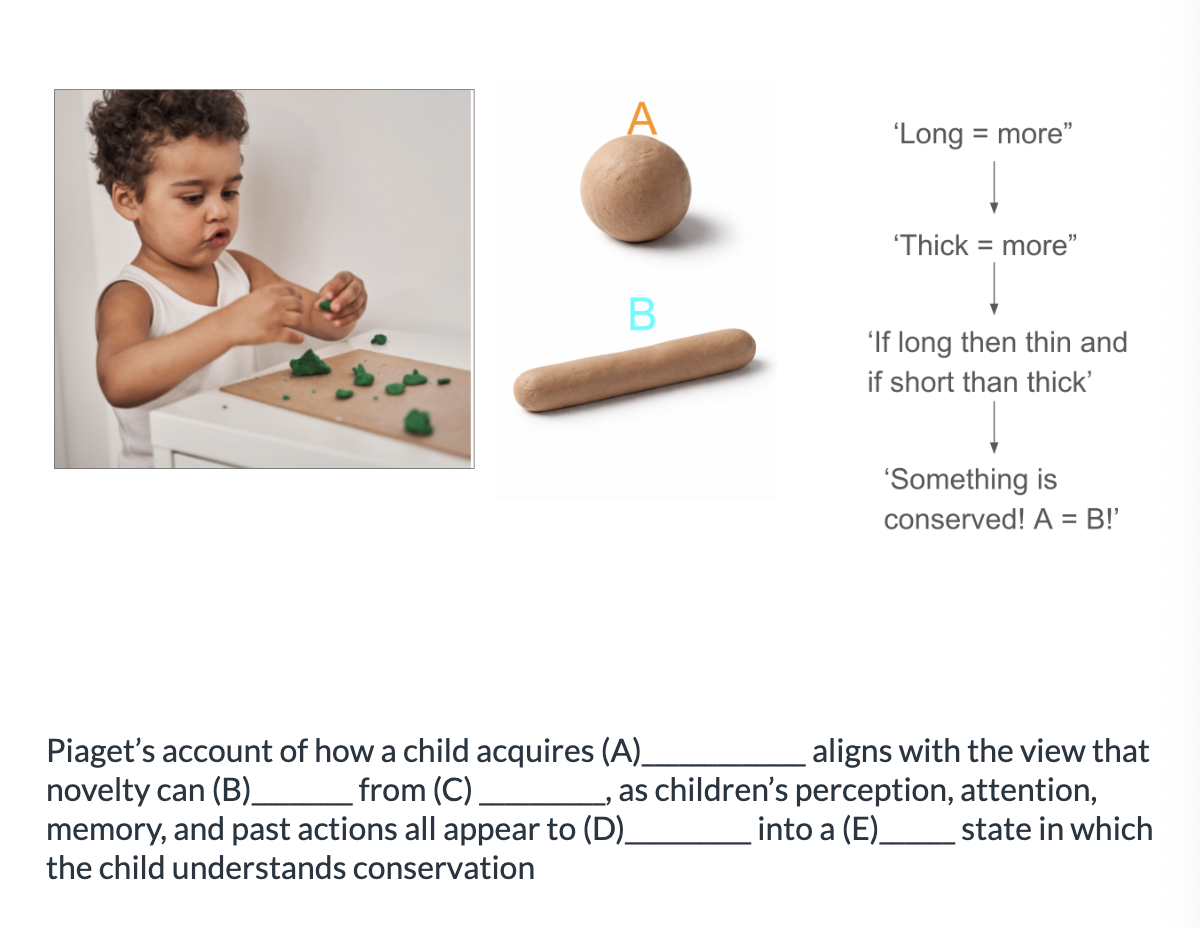 <ol><li><p>A: <span>a new knowledge of conservation, B: new, C: multiple casual factors, D: integrate, E: emerge</span></p></li><li><p>A: a new knowledge of conservation, B: emerge, C: multiple casual factors, D: integrate, E: new</p></li></ol><p></p>