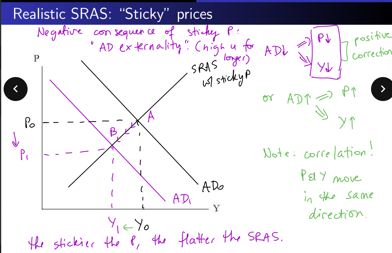 <p></p><p>NOTE: if prices were more flexible (S curve steeper); AD shock would be less severe. Because when adverse shocks occur, prices may adjust so output is NOT reduced. </p>