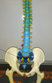 <p>What is this (dark blue region)?</p>