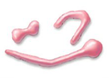 <p>- Can assume several shapes</p>