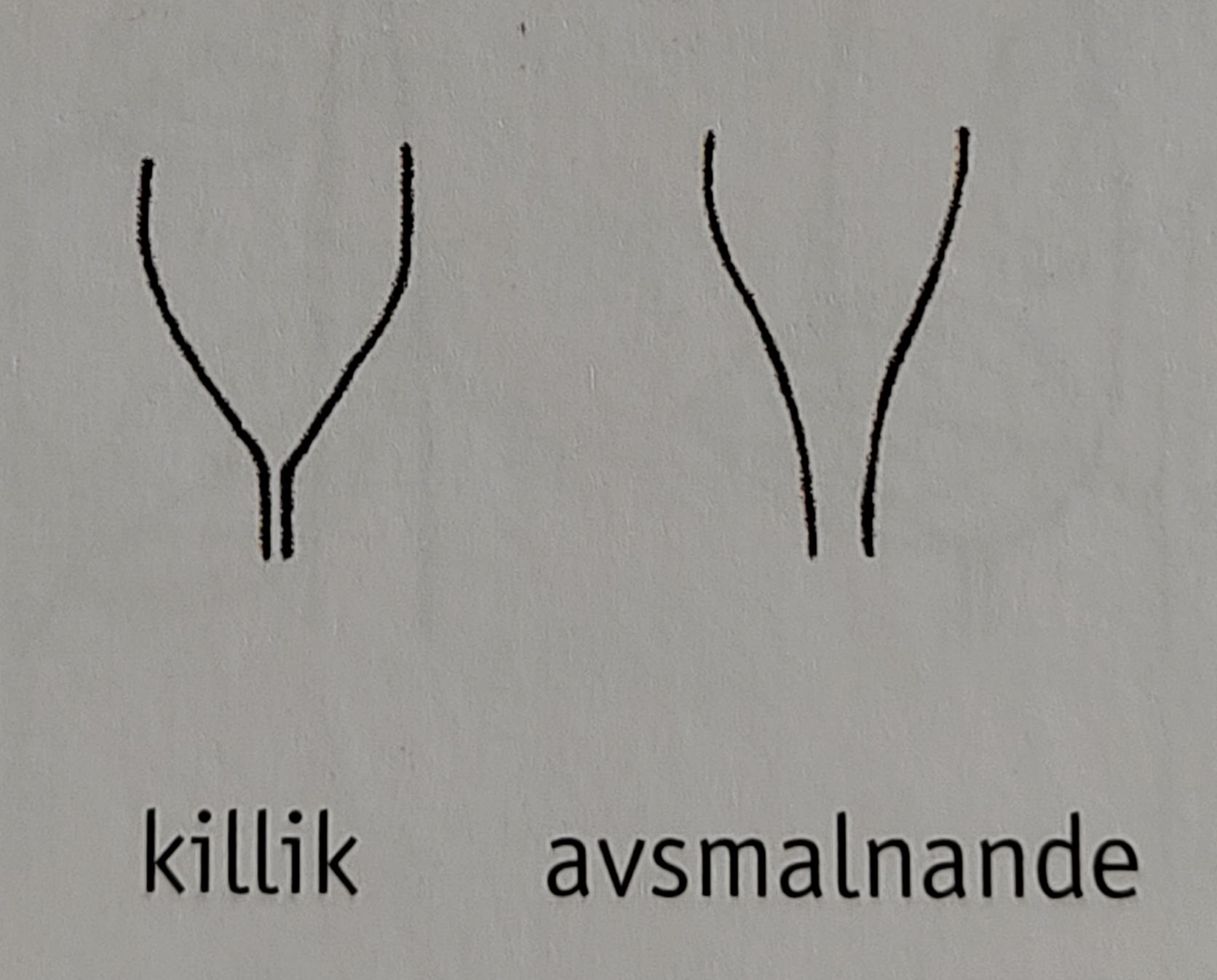 <p></p>