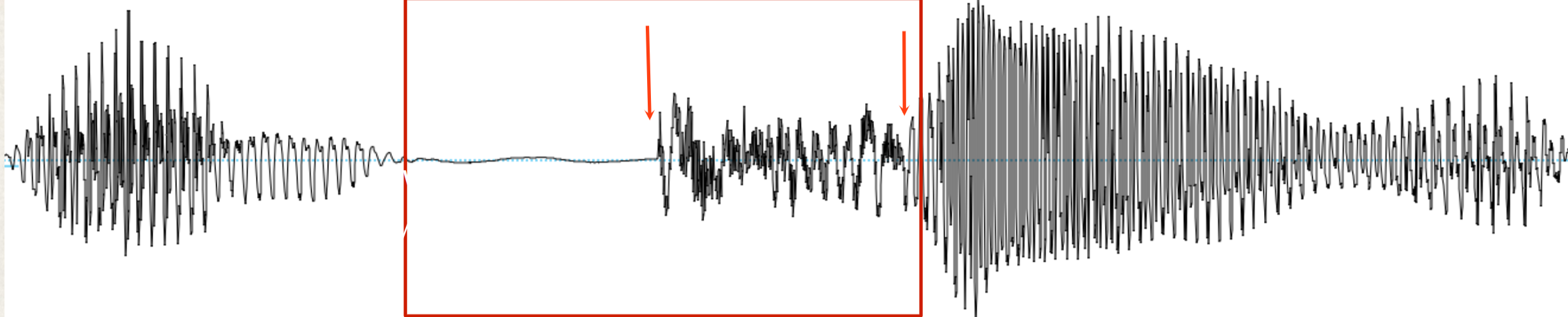 <p>longer</p><p>first arrow: releasing stop                       second arrow: a vowel </p>