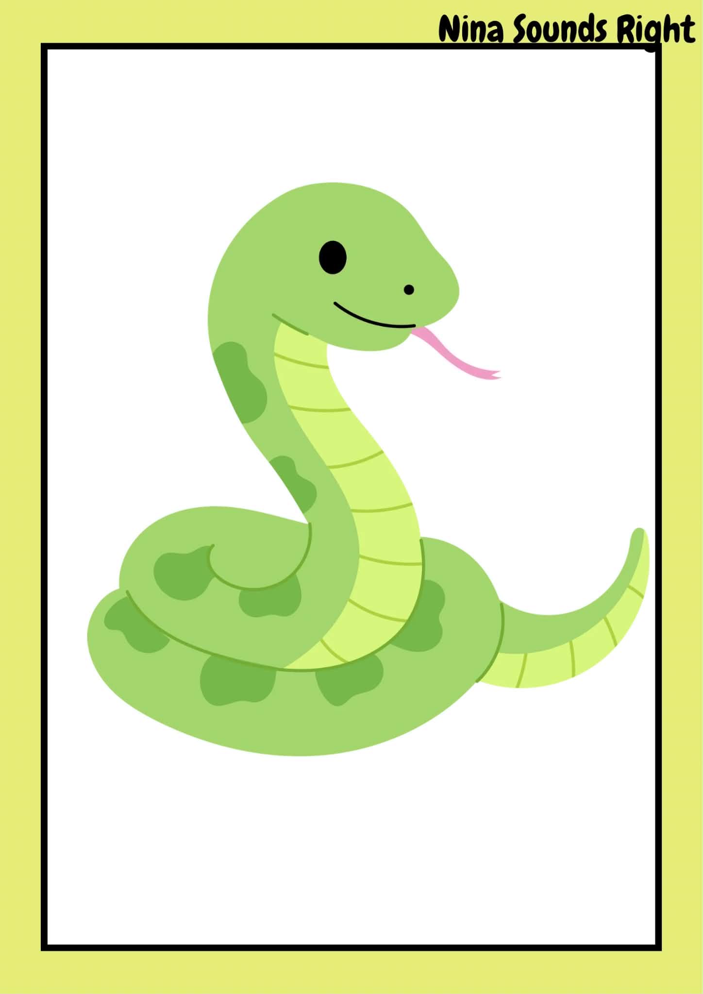 <p><span style="color: rgba(255,255,255,var(--O42jJQ,1));">I have a long body but i have no legs or arms. I hiss and crawl on the ground. </span></p>