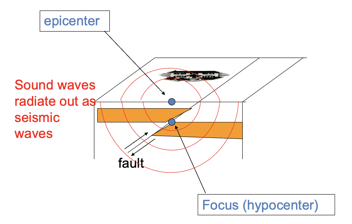 <p>AKA Hypocenter</p><p>Exact underground location where the rock fractures during an earthquake<span style="background-color: transparent;"> </span></p><ul><li><p>Releases stored energy <span style="background-color: transparent;">→ seismic rupture </span></p></li></ul><p></p>