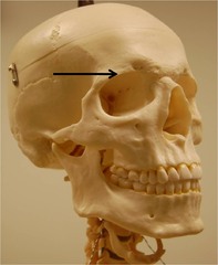 <p>lề, mép, giới hạn, biên, sự chênh lệch</p>